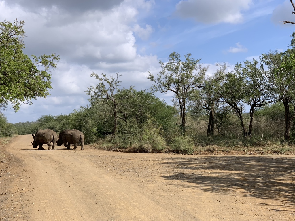 ZKF - Hluhluwe Natinaal Park - game drive.JPEG