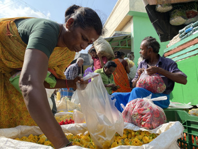 Route Zuid India Hoogtepunten, 16 dagen - Day 7