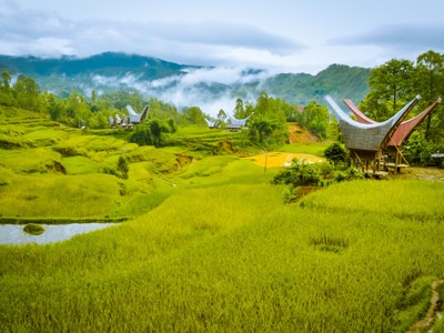 Route Sulawesi, 25 dagen - Day 7