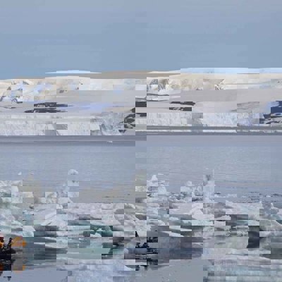 Pinguïnsafari tijdens groepsrondreis Antarctica en South Georgia.