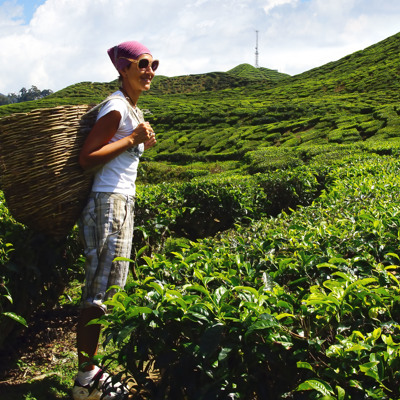 Groepsrondreis West-Maleisië & Borneo