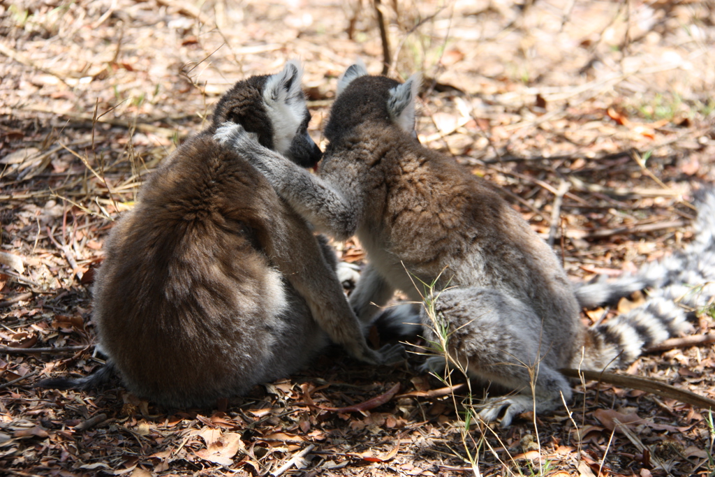 Joran de Ridder 2022 (17).JPG