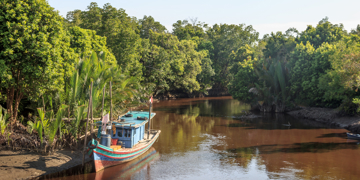 Groepsrondreis Kalimantan