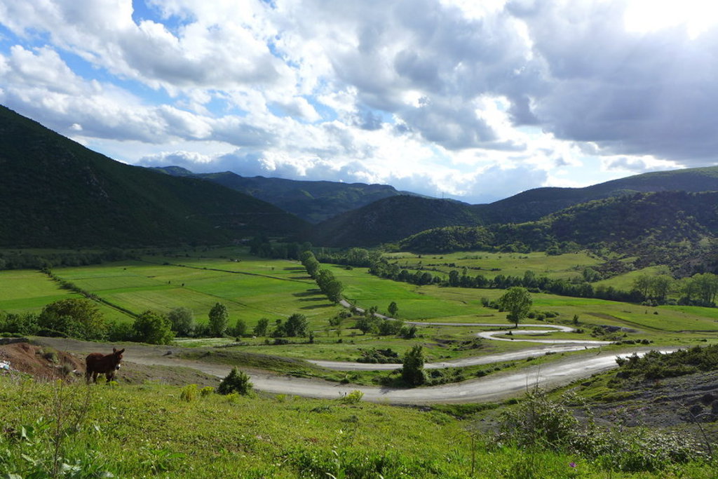 main_Drive_to_Dardha.jfif