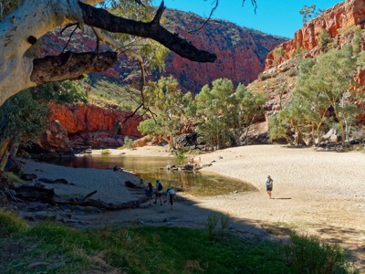 Route 2, Australië & Nieuw-Zeeland, 30 dagen - Day 8