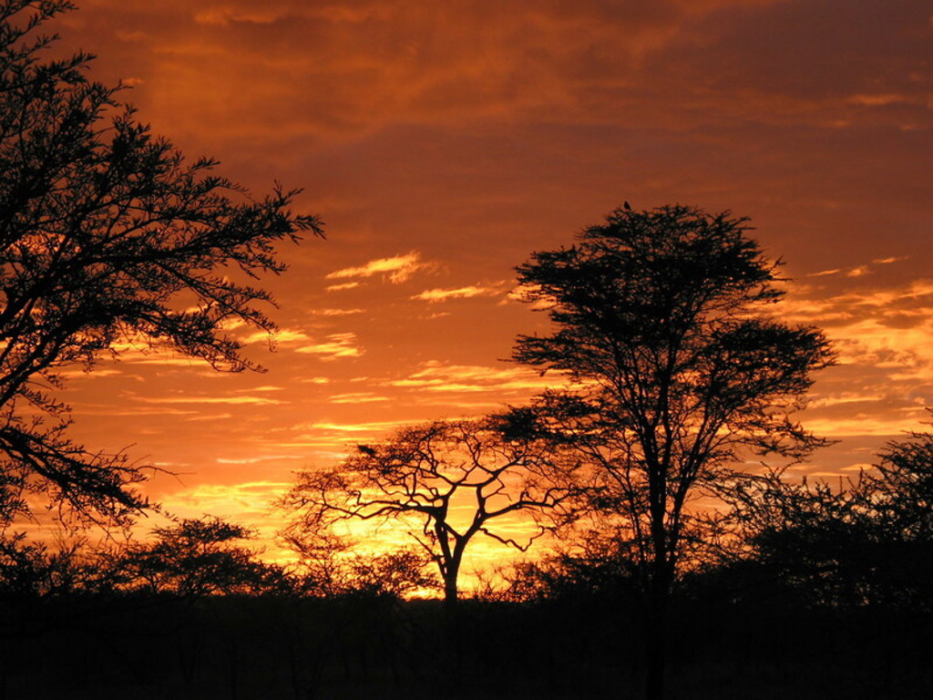 main_Tanzania_-_Serengeti__89_.jfif