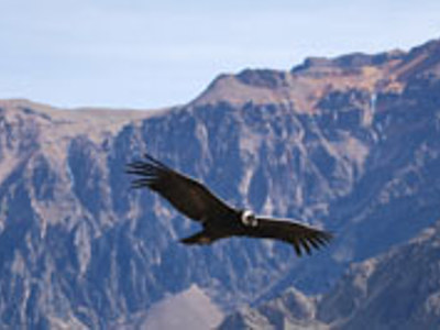 Route Peru 2019, 22 dagen OUD - Dag 9