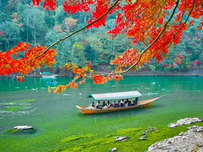 Route Japan, 21 dagen (reizen t/m 1 mei 2024) - Day 19