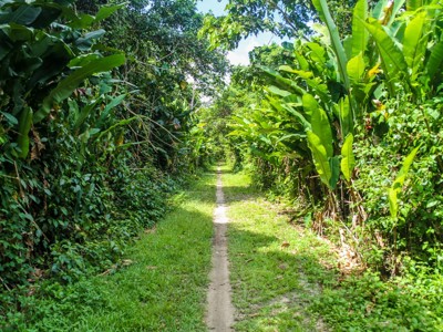 Route Suriname, 18 dagen (2019) - Dag 3