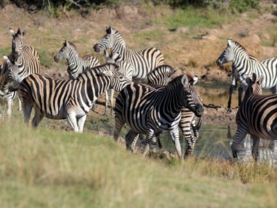 Tuinroute, 18 dagen - Dag 10