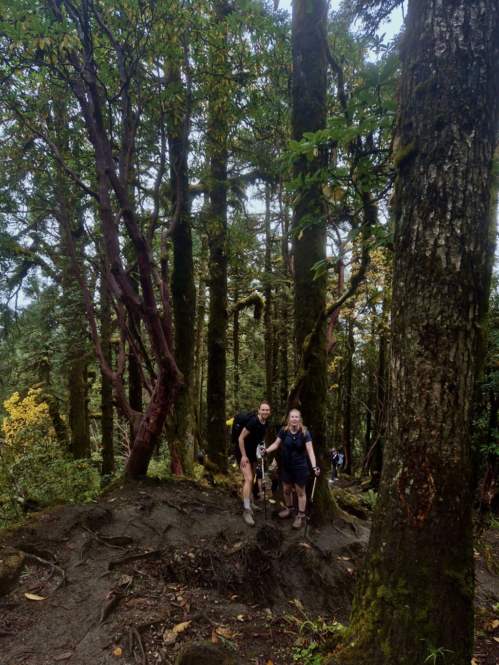 Foto 01-11-2025, 06 27 53.jpg