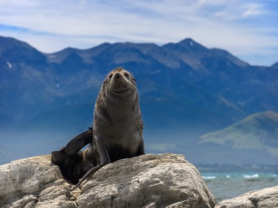 Route Nieuw-Zeeland 28 dagen - Dag 18