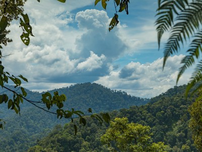 Route Sumatra, Java en Bali, 30 dagen - Day 2