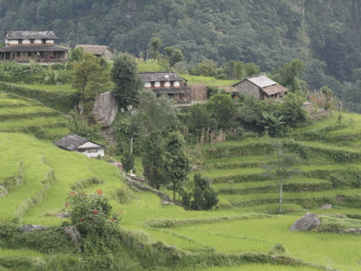 Route Nepal Annapurna