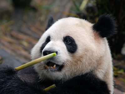 Route China, 23 dagen - Day 10