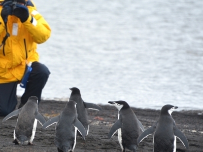 Route Antarctica: Crossing the Circle, 14 dagen - Dag 6
