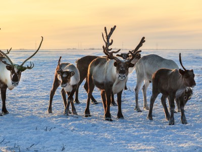 Route Finland, 8 dagen (OUD) - Day 5