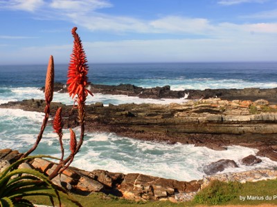 Route Zuid-Afrika - Dag 8