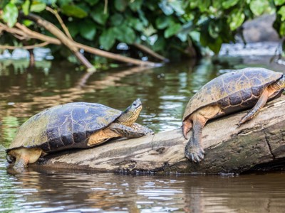 Route Costa Rica - Day 5