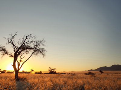 Route Namibië, 20 dagen - Dag 5