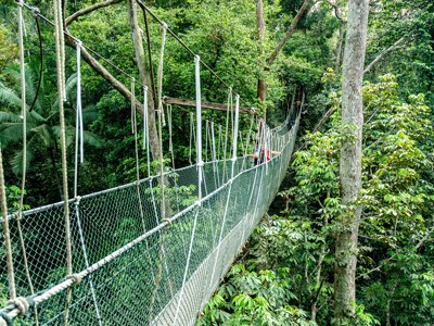 Route Maleisië, 18 dagen (2023) - Dag 11