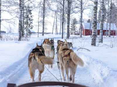 22-35ers reis Finland - Day 5