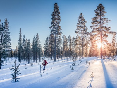Route 7 daagse reis Zweden en Noorwegen - Dag 4