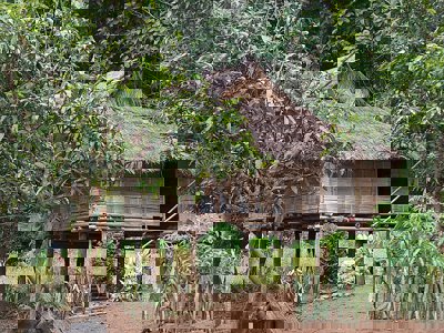 Homestay trekking Chiang Mai Thailand