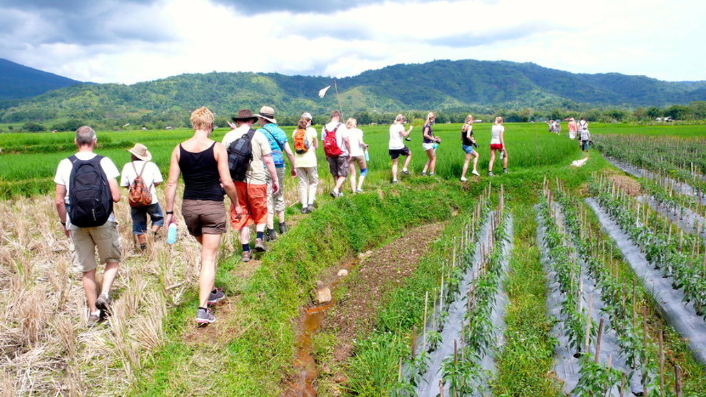 main_Indonesi__-_Sumatra_-_Tobameer__1_.jfif