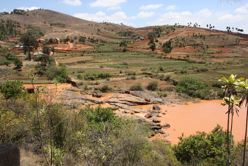 Joran de Ridder 2022 (3).JPG