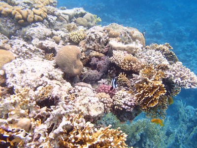 Route Jordanië, 8 dagen - Day 7