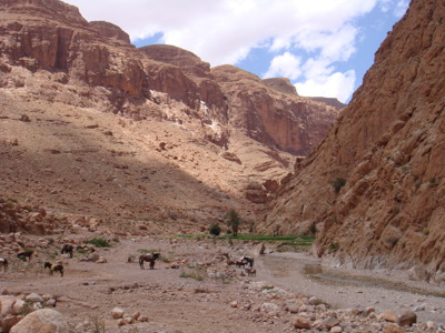 Route Marokko hoogtepunten, 10 dagen - Dag 3
