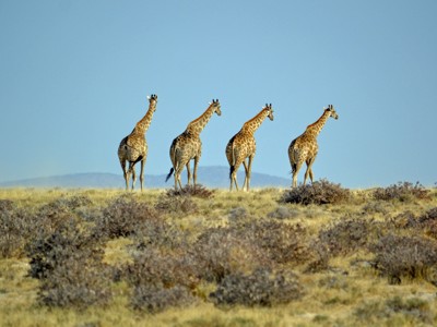 Route Zuid-Afrika - Dag 21