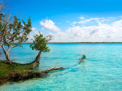 Route Mexico, 18 dagen - Day 12