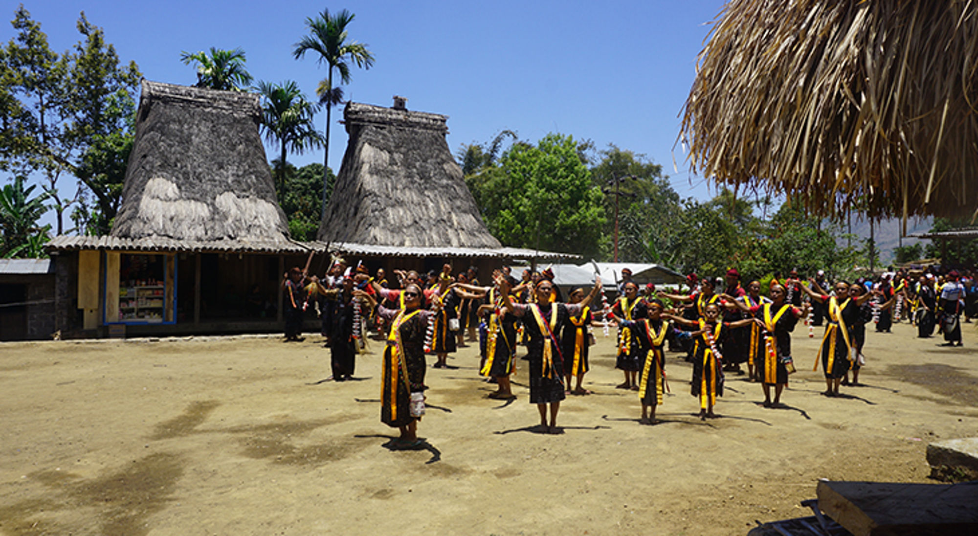 Dansende locals - Flores Eiland 