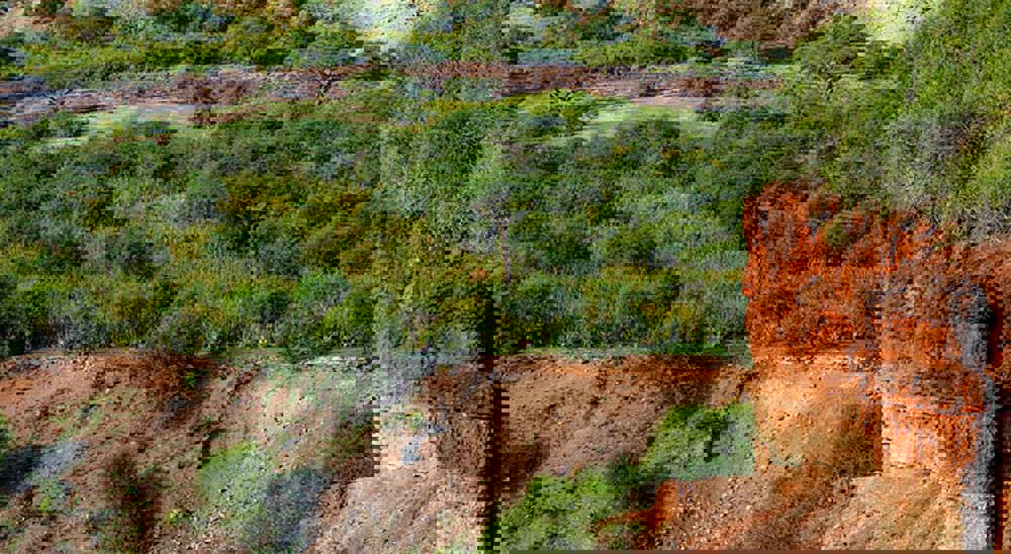 Uitzicht op het landschap van Olduvai Gorge