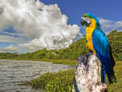 Route van Buenos Aires naar Rio - Day 9