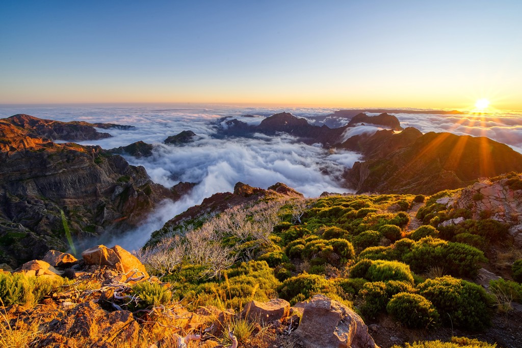 Madeira sunrise