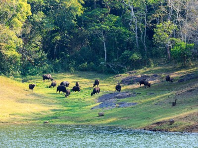 Route Zuid India, 23 dagen - Day 8