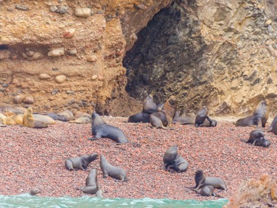 Route Peru, 22 dagen - Day 3