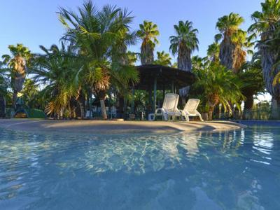 Desert Palms Alice Springs
