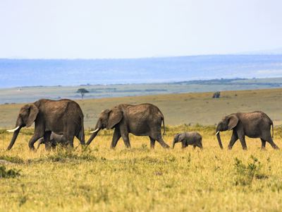 Route tot mei 2025: Kenia en Tanzania, 12-dagen - Dag 6