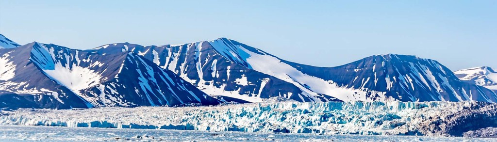 IJsberen Spitsbergen 