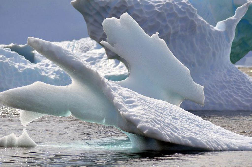 IJssculptuur Antarctica