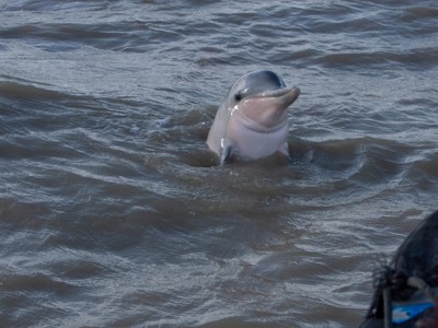 Route Suriname, 18 dagen - Dag 3