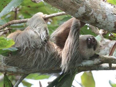 Route Costa Rica 2025 - Day 6