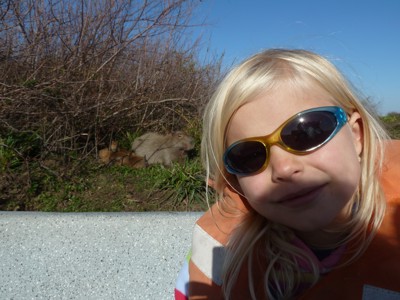 Route van Buenos Aires naar Rio - Day 10