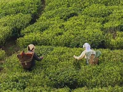 Route Sikkim en Bhutan, 21 dagen - Dag 8