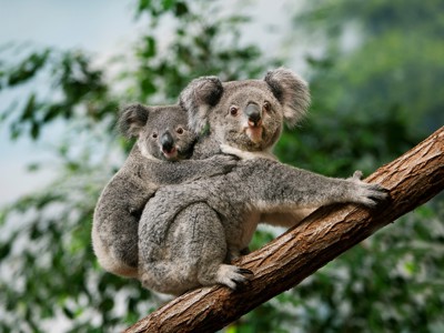 Route Australië, 22 dagen - Day 15