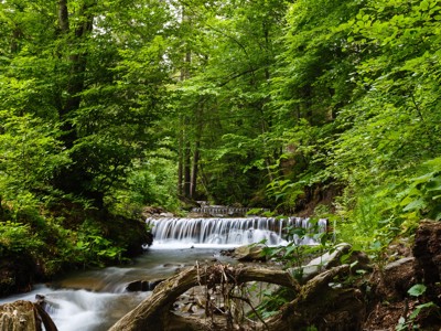 Vertrek 21 november 2020 - Day 9